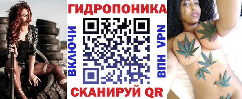 Где купить Тихорецк Бошки Шишки  Альфа ПВП  ГАШ  Мефедрон 